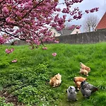 Lindas Diekblick, ! 2 Schlafzimmer!eg Mit Terrasse Elsfleth
