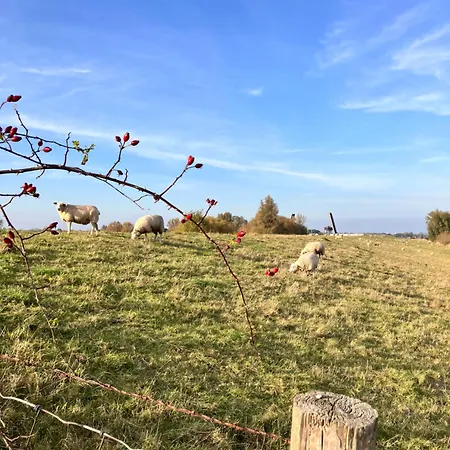 Lindas Diekblick, ! 2 Schlafzimmer!eg Mit Terrasse Appartement