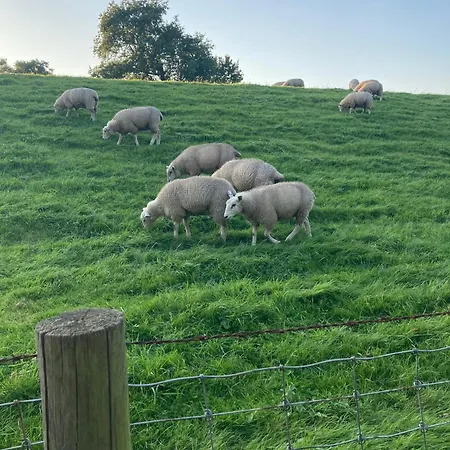 Lindas Diekblick, ! 2 Schlafzimmer!eg Mit Terrasse Apartament *