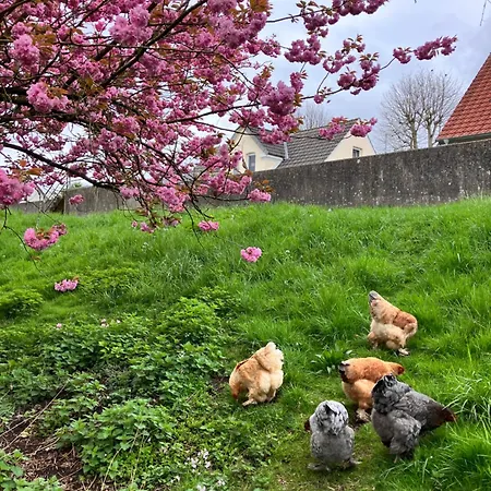 Lindas Diekblick, ! 2 Schlafzimmer!eg Mit Terrasse Elsfleth